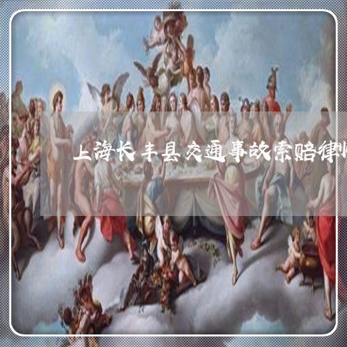 上海长丰县交通事故索赔律师/2023032259160
