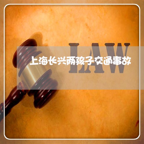 上海长兴两孩子交通事故/2023021496389 上海长兴两孩子交通事故/2023021496389