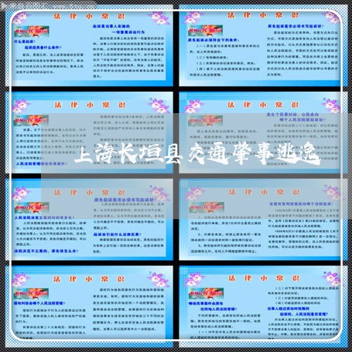上海长垣县交通肇事逃逸/2023021460684