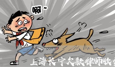 上海长宁欠款律师收费 上海长宁欠款律师收费