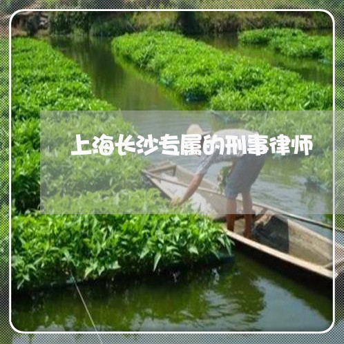 上海长沙专属的刑事律师/2023021505937 上海长沙专属的刑事律师/2023021505937