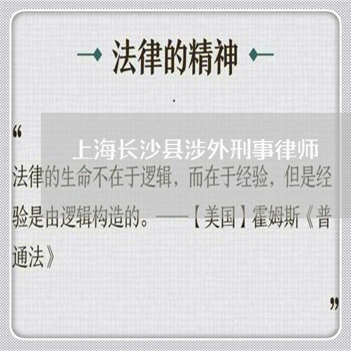 上海长沙县涉外刑事律师/2023041050372