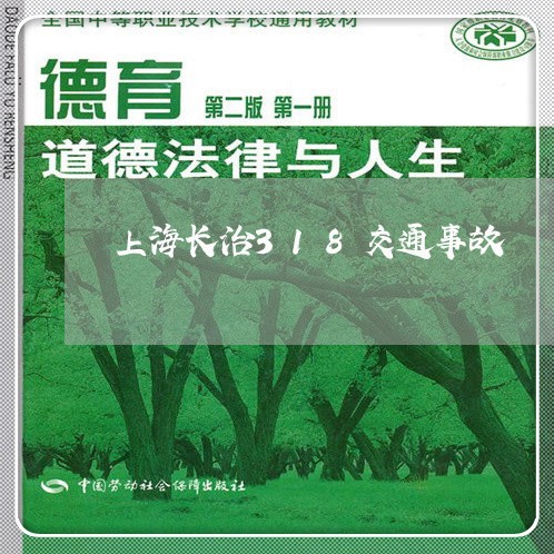 上海长治318交通事故/2023021561471 上海长治318交通事故/2023021561471