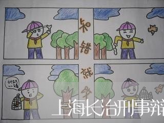 上海长治刑事辩护律师哪个好/2023032282894