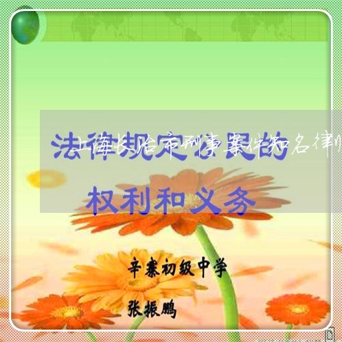 上海长治市刑事案件知名律师/2023032216169