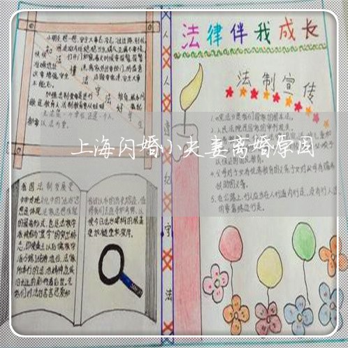 上海闪婚小夫妻离婚原因/2023021471613 上海闪婚小夫妻离婚原因/2023021471613