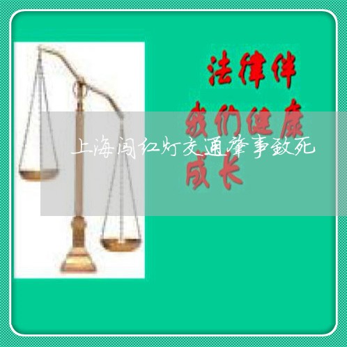 上海闯红灯交通肇事致死/2023021548469 上海闯红灯交通肇事致死/2023021548469