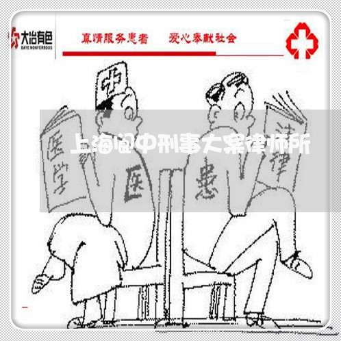 上海阆中刑事大案律师所/2023041043649