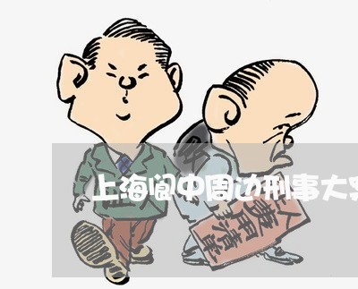 上海阆中周边刑事大案律师/2023031844958