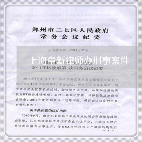 上海阜新律师办刑事案件/2023021457048 上海阜新律师办刑事案件/2023021457048