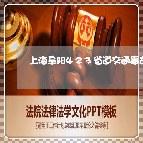 上海阜阳423省道交通事故/2023032284593