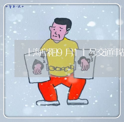 上海阜阳9月11号交通事故/2023032250692