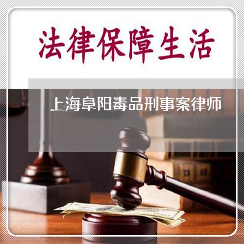 上海阜阳毒品刑事案律师/2023041017838