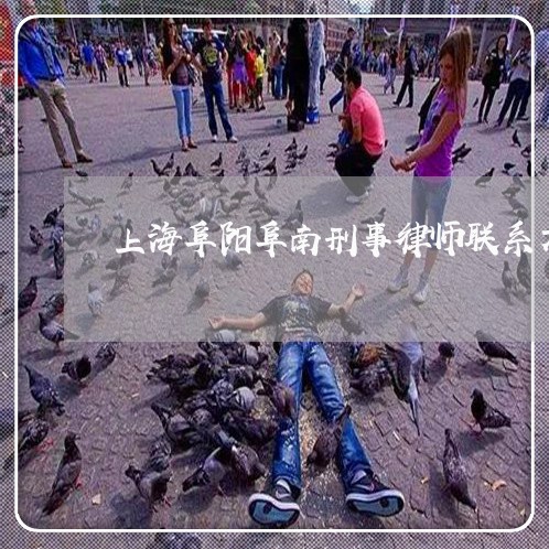 上海阜阳阜南刑事律师联系方式/2023041554038