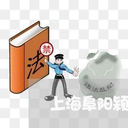 上海阜阳颍东县交通事故/2023021549715 上海阜阳颍东县交通事故/2023021549715