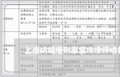 上海防城港刑事案件律师排名/2023032294057 上海防城港刑事案件律师排名/2023032294057