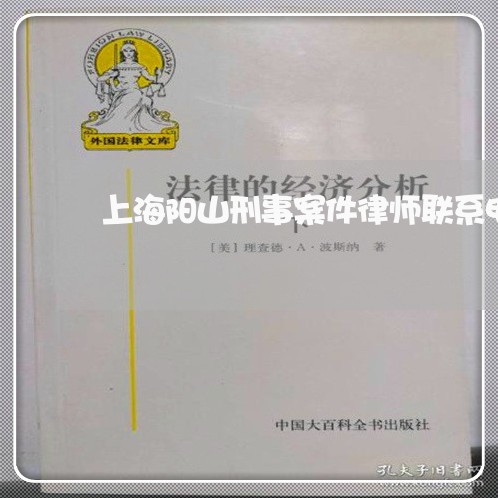 上海阳山刑事案件律师联系电话/2023041593915