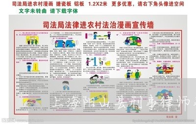 上海阳山县刑事律师事务所/2023031742046