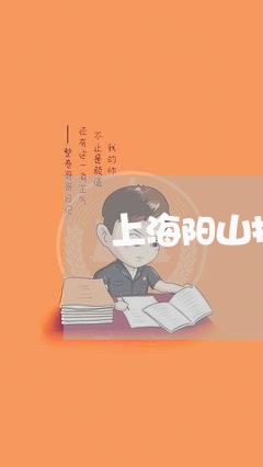 上海阳山找刑事斗殴律师/2023021594813 上海阳山找刑事斗殴律师/2023021594813