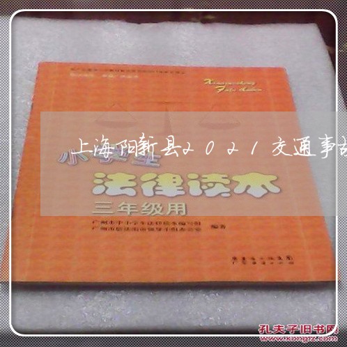 上海阳新县2021交通事故/2023032218957