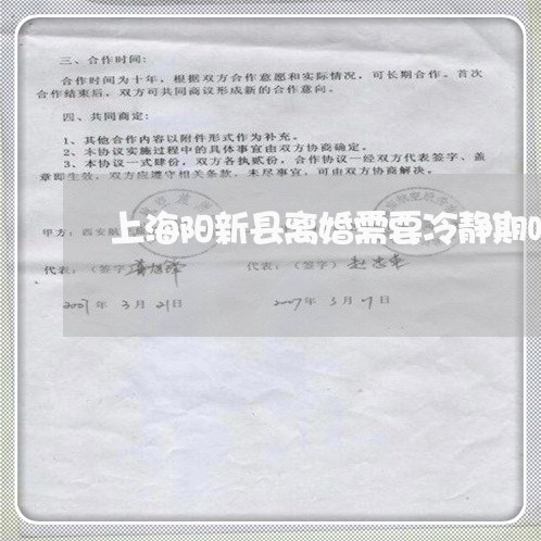 上海阳新县离婚需要冷静期吗/2023032259509