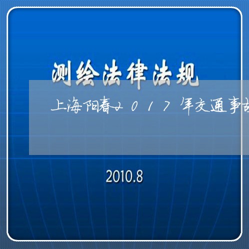 上海阳春2017年交通事故/2023032229593