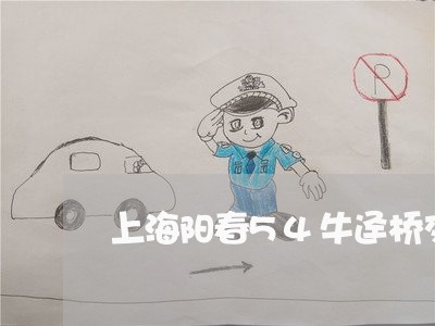 上海阳春54牛迳桥交通事故/2023032248179