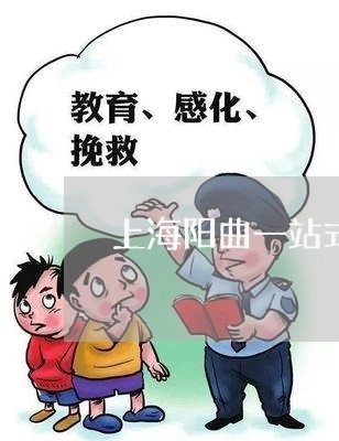 上海阳曲一站式刑事案律师/2023030206950