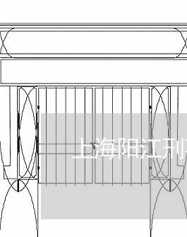 上海阳江刑事律师有哪些/2023041062696