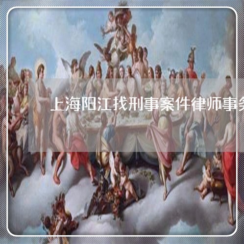 上海阳江找刑事案件律师事务所/2023041591825