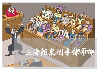 上海阳泉刑事律师哪个好/2023041085947