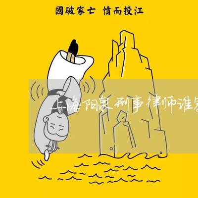 上海阳泉刑事律师谁家好/2023041064051