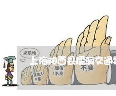 上海阳西县儒洞交通事故/2023021491704 上海阳西县儒洞交通事故/2023021491704