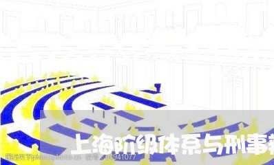 上海阶级体系与刑事辩护/2023041063938