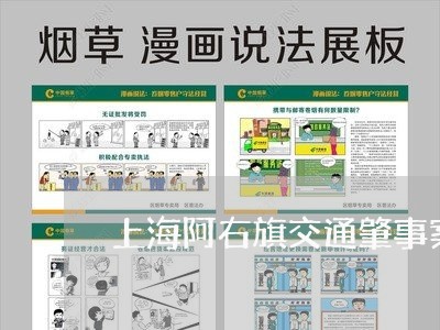 上海阿右旗交通肇事案件/2023021440572 上海阿右旗交通肇事案件/2023021440572