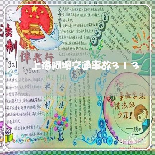 上海阿坝交通事故313/2023021456158 上海阿坝交通事故313/2023021456158