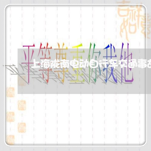 上海陇南电动自行车交通事故/2023032238149