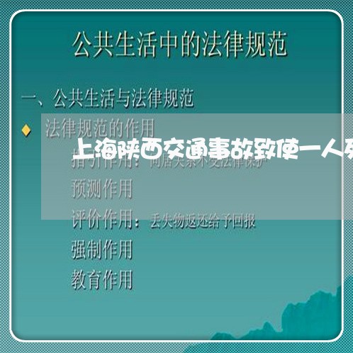 上海陕西交通事故致使一人死亡/2023041526391