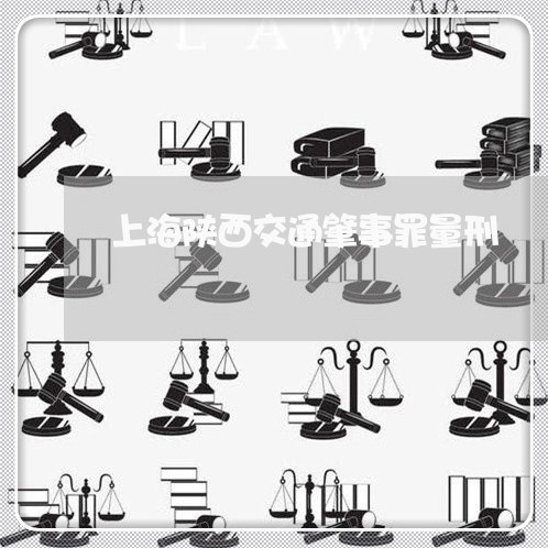 上海陕西交通肇事罪量刑/2023041021646