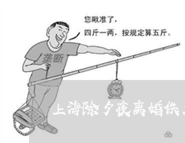 上海除夕夜离婚佚名/2023032439279 上海除夕夜离婚佚名/2023032439279