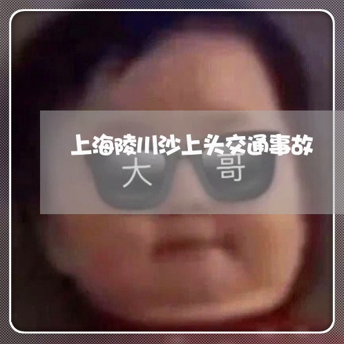 上海陵川沙上头交通事故/2023021485616 上海陵川沙上头交通事故/2023021485616