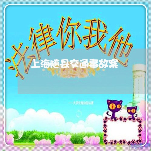 上海随县交通事故案/2023032414937