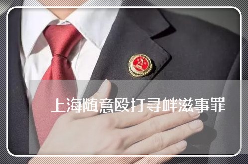 上海随意殴打寻衅滋事罪/2023021561684 上海随意殴打寻衅滋事罪/2023021561684