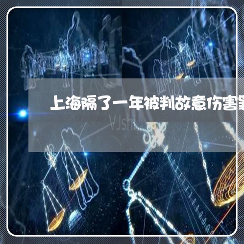 上海隔了一年被判故意伤害罪/2023032132936 上海隔了一年被判故意伤害罪/2023032132936