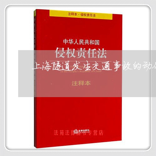 上海隧道发生交通事故的动作/2023032138067 上海隧道发生交通事故的动作/2023032138067