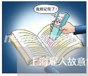 上海雇人故意伤害罪/2023032416160