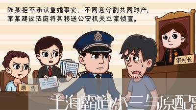 上海霸道小三与原配离婚/2023021517027