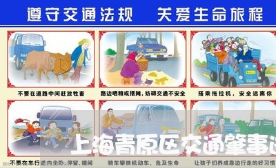 上海青原区交通肇事逃逸/2023021596169 上海青原区交通肇事逃逸/2023021596169