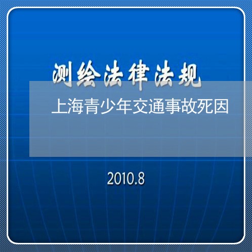 上海青少年交通事故死因/2023041077361