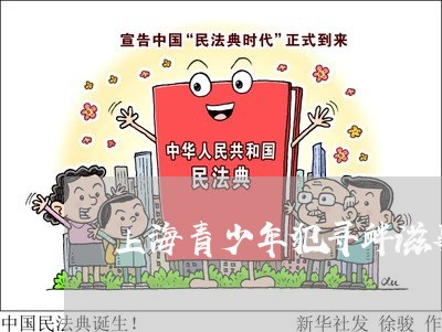 上海青少年犯寻衅滋事罪/2023021595915